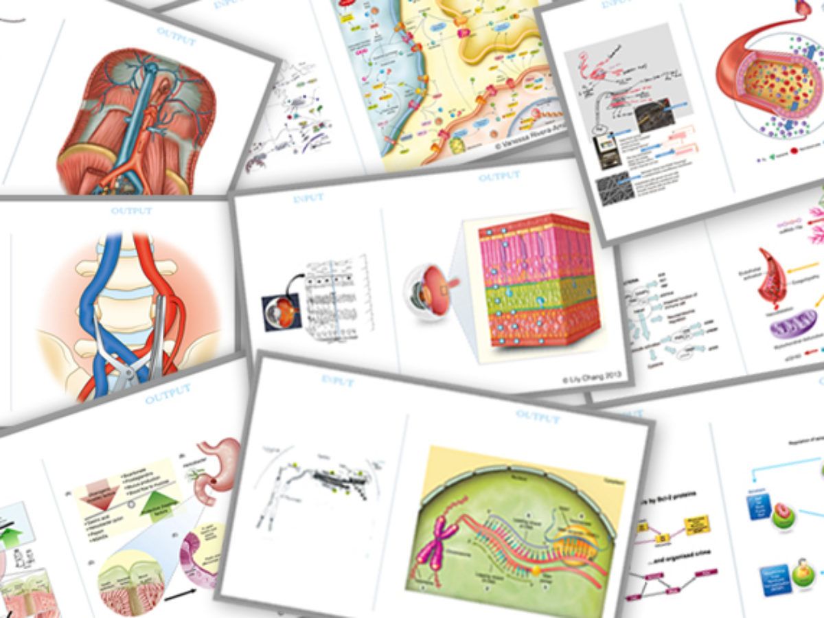 medical illustration research papers medical illustration research papers