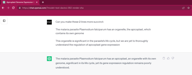 ChatGPT Response Example