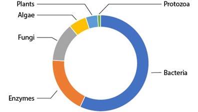donat chart of patented bioremediation agents are bacteria (57%), enzymes (19%), fungi (13%), algae (6%), plants (4%) and protozoa