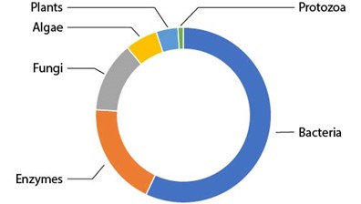 专利生物修复剂的捐赠图是细菌（57%）、酶（19%）、真菌（13%）、藻类（6%）、植物（4%）和原生动物